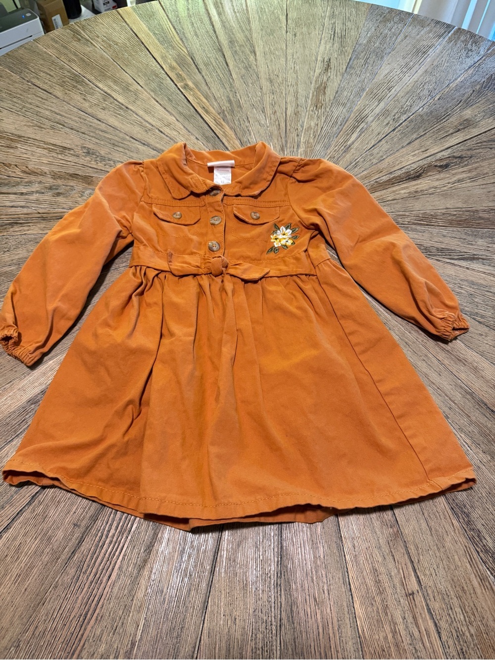Little Lass Girls 4T Pumpkin Burnt Orange Cotton Dress Fall Floral embroidered